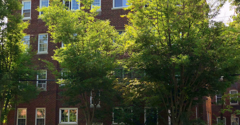 46 Shepard  Street, Cambridge, Massachusetts